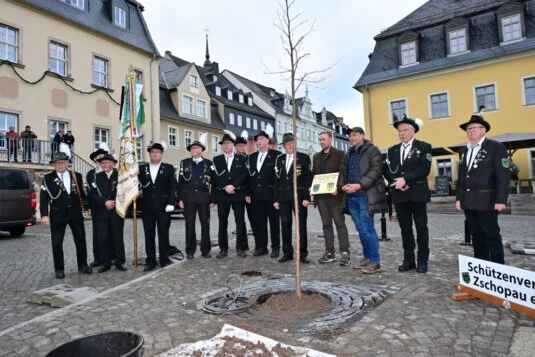 Baumpfalzung auf dem Zschopauer Rathausplatz